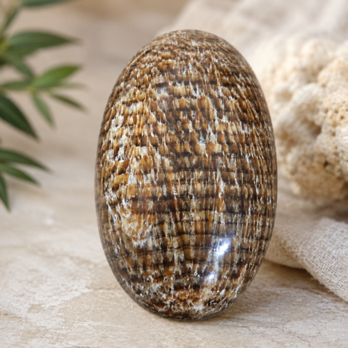 ARAGONITE PALM STONE